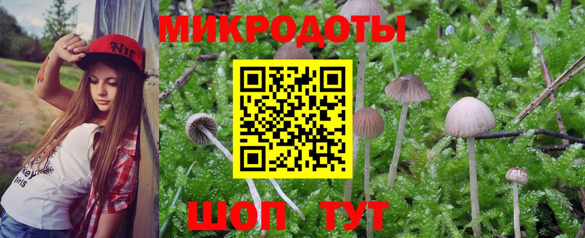Иваново  Псилоцибиновые грибы MAGIC MUSHROOMS  Галлюциногенные грибы GOLDEN TEACHER  Вход с VPN 